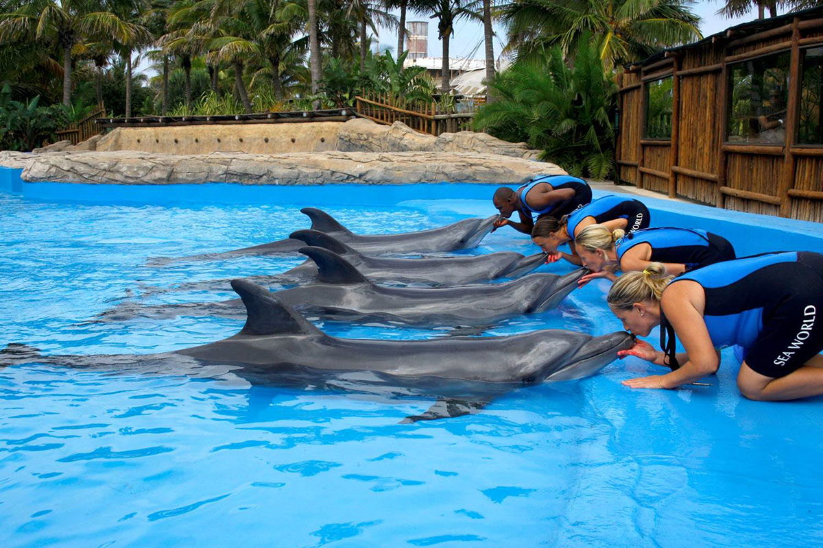 careers-animal-behaviourist-saambr-ori-ushaka-sea-world-ocean-research-durban-kzn-south-africa