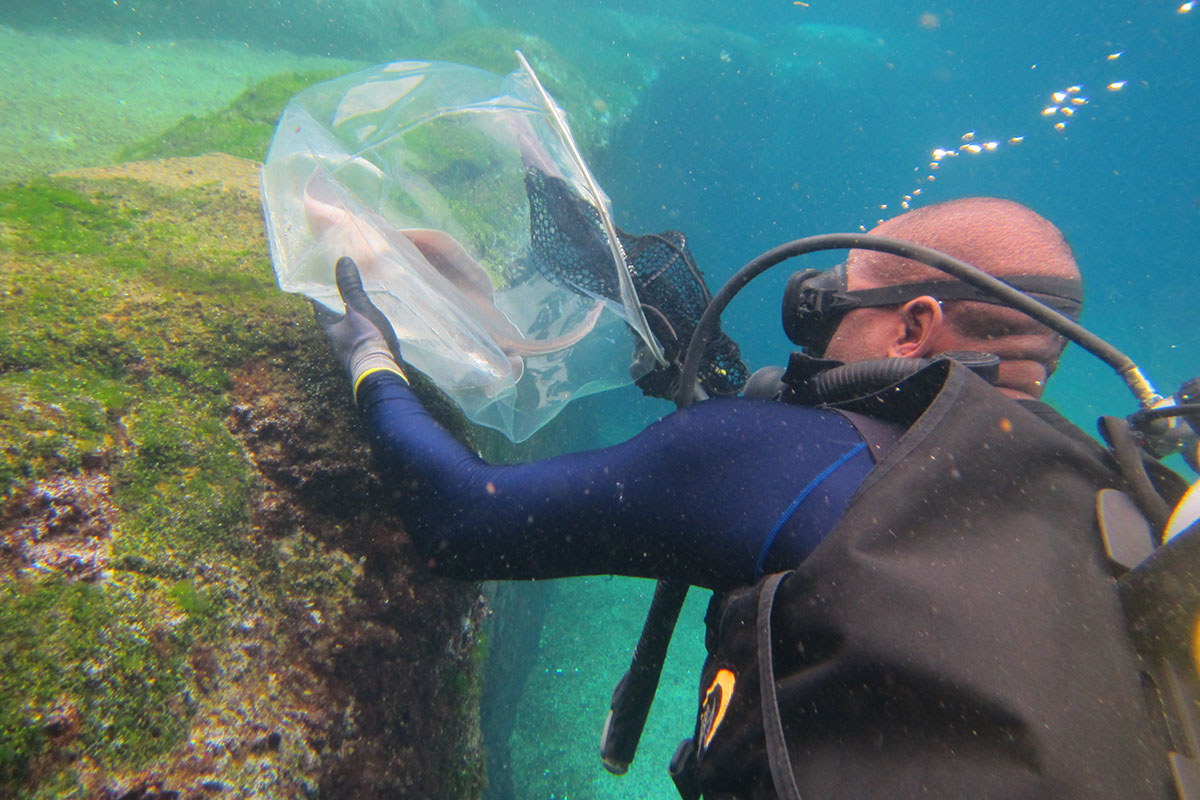 careers-aquarist-saambr-ori-ushaka-sea-world-ocean-research-durban-kzn-south-africa