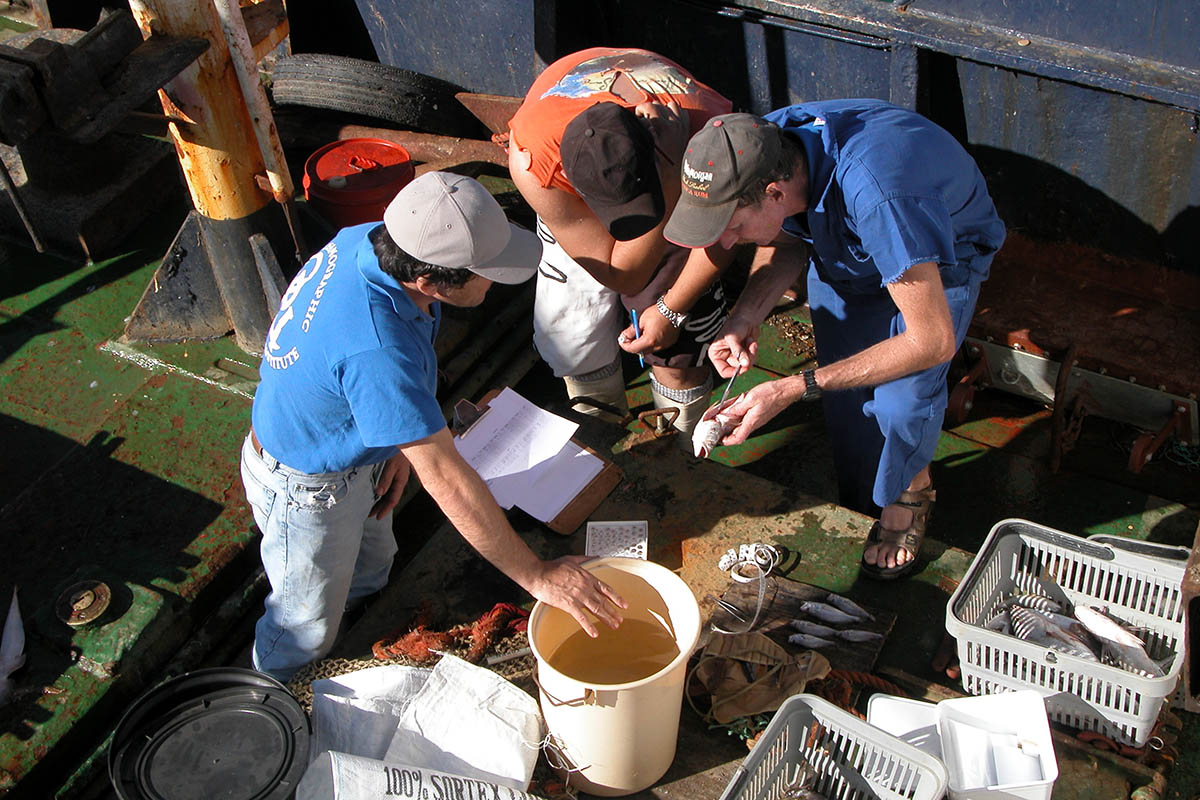 careers-fisheries-scientist-saambr-ori-ushaka-sea-world-ocean-research-durban-kzn-south-africa