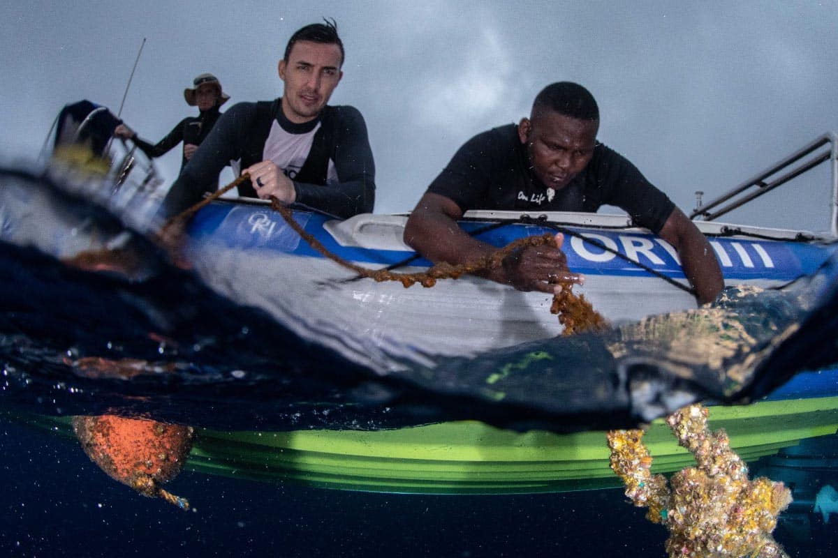 ORI MuPicture 1 copy