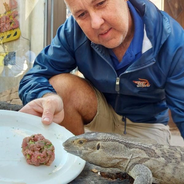 Carl-and-monitor-lizard