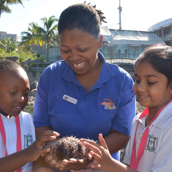 volunteer-animal-health-saambr-ori-ushaka-sea-world-rehabilitation-ocean-research-durban-kzn-south-africa