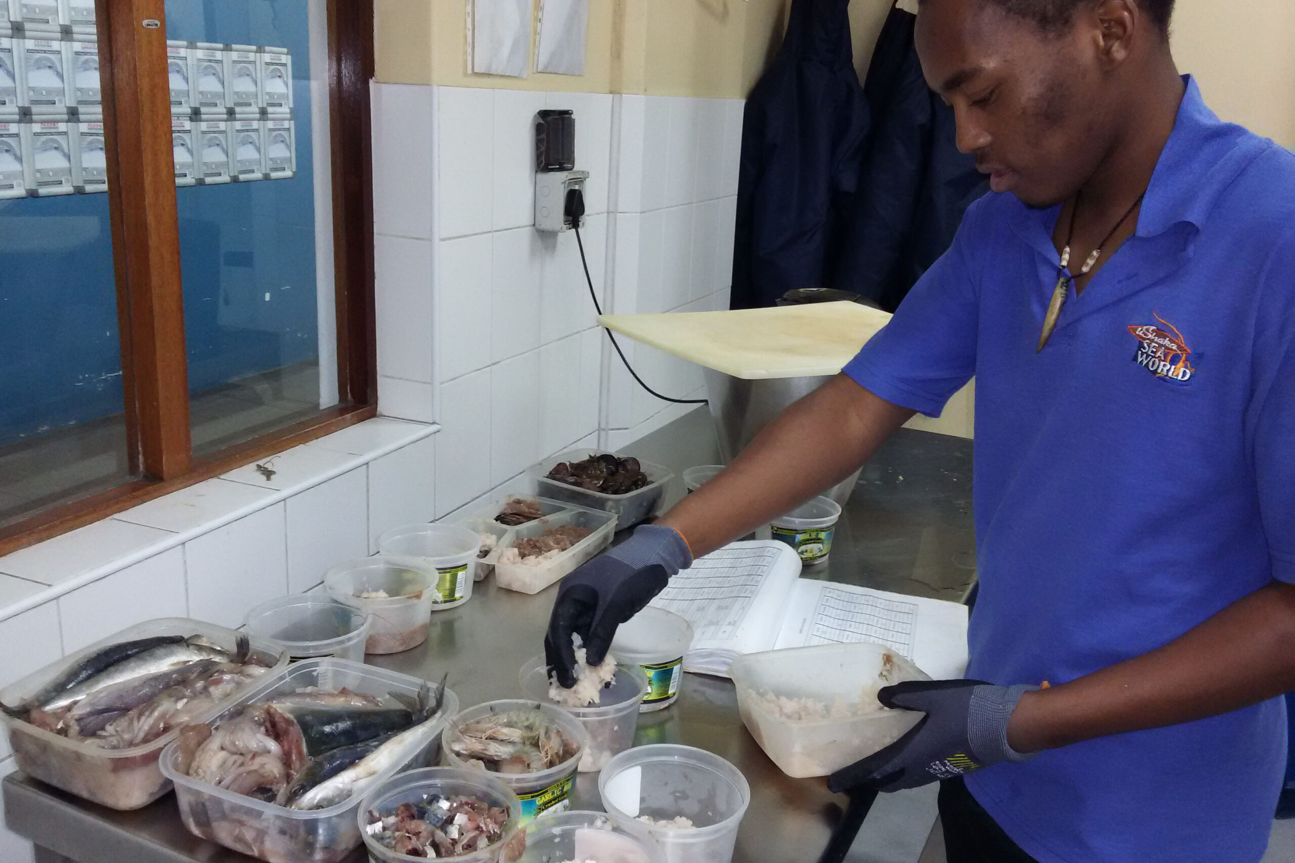 SAAMBR-nutrition-fish-preparation